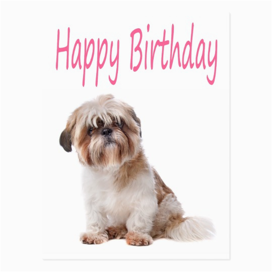 happy birthday shih tzu puppy postcard zazzle com