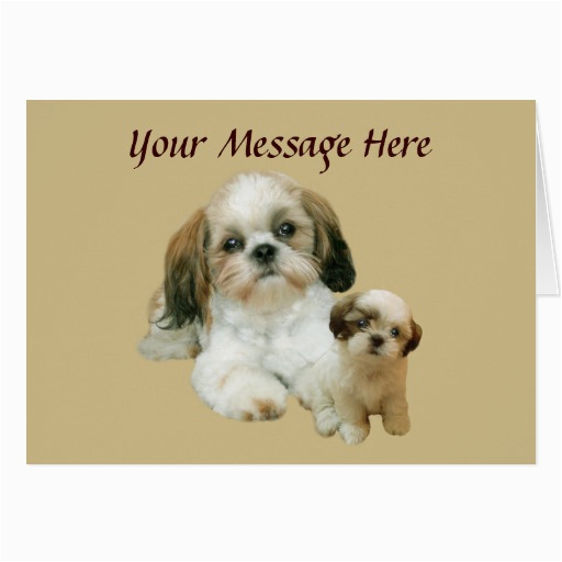 shih tzu buddies greeting card zazzle