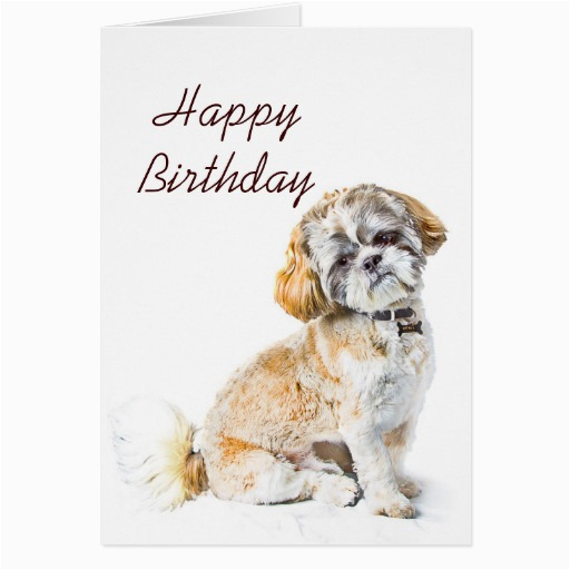 shih tzu dog happy birthday card zazzle