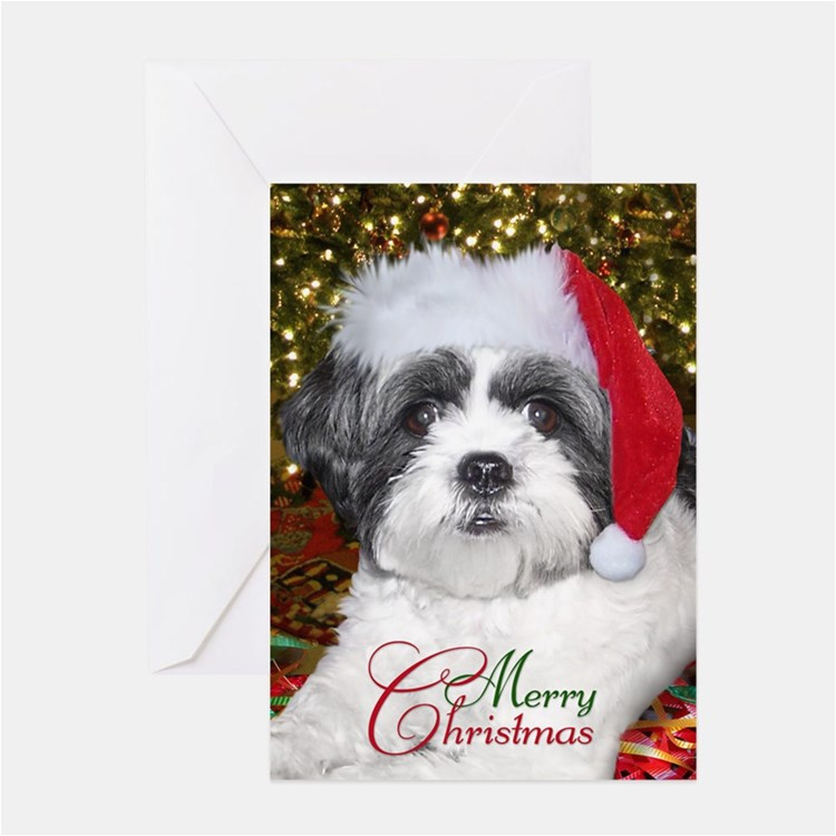 shih tzu greeting cards card ideas sayings designs