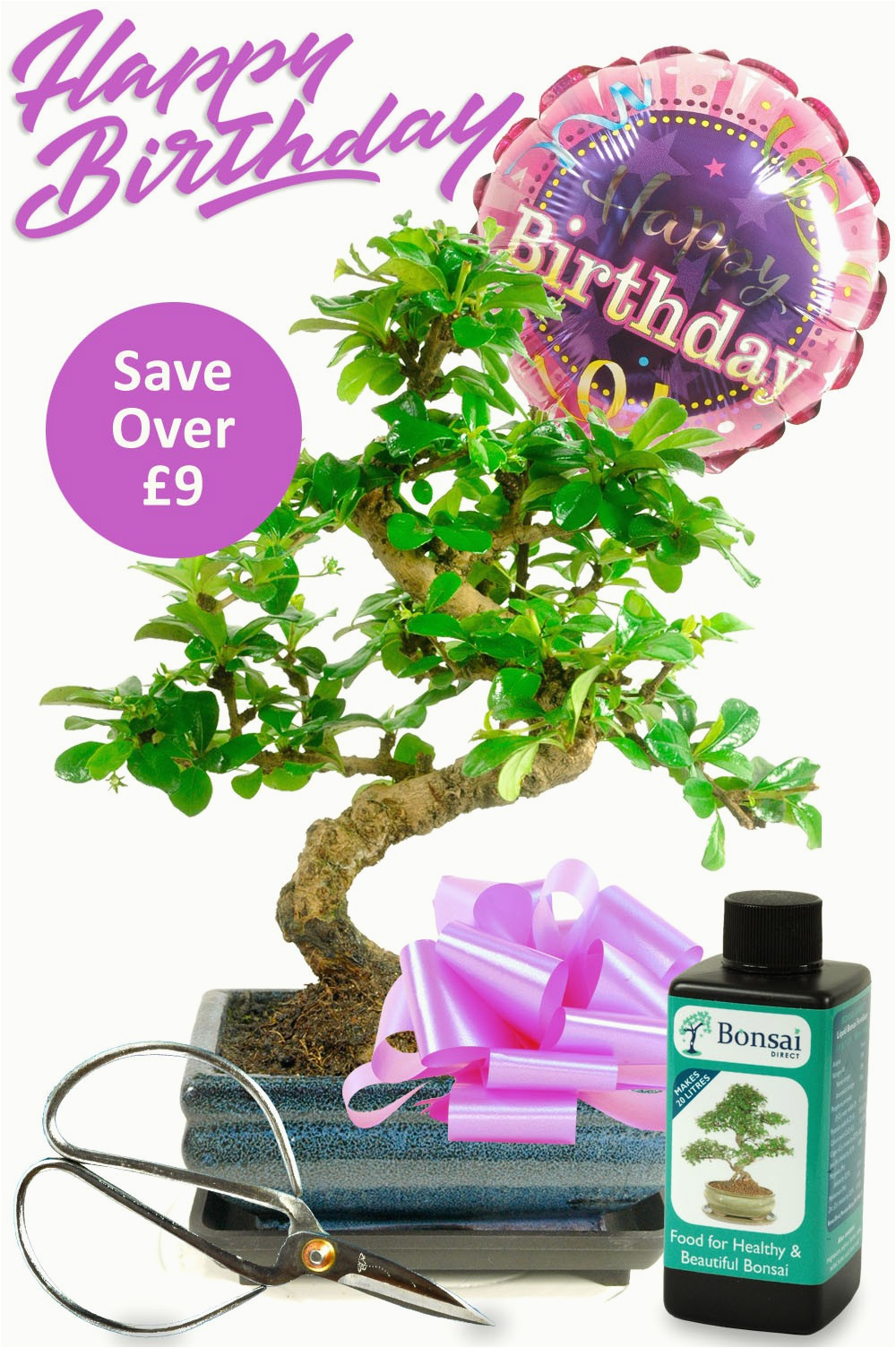 flowering bonsai birthday kit for her with free delivery