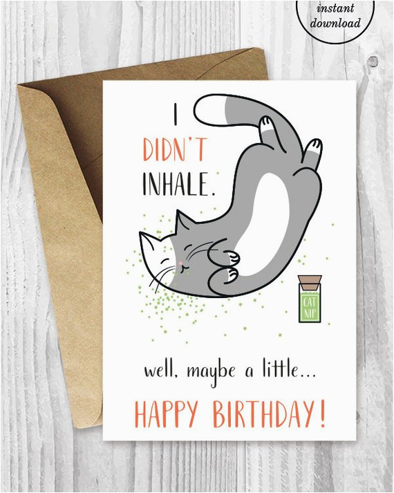 Stoner Birthday Cards Printable Birthday Cards Funny Cat Birthday Cards Stoner Cat