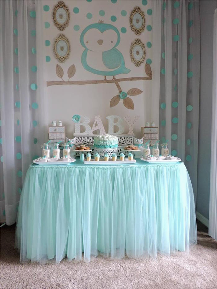 turquoise owl welcome home baby party