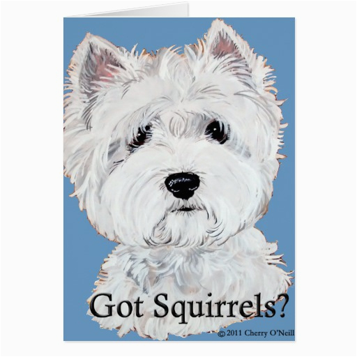 greeting cards west highland white terrier greeting cards