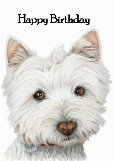 quot westie dog birthday card quot by ckeenart redbubble