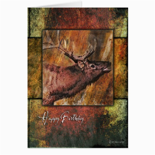 rustic elk wildlife birthday card greeting cards 137384209833801186