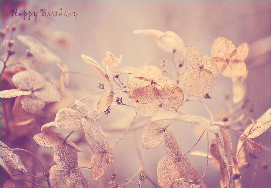 vintage winter flowers happy birthday photograph by lee