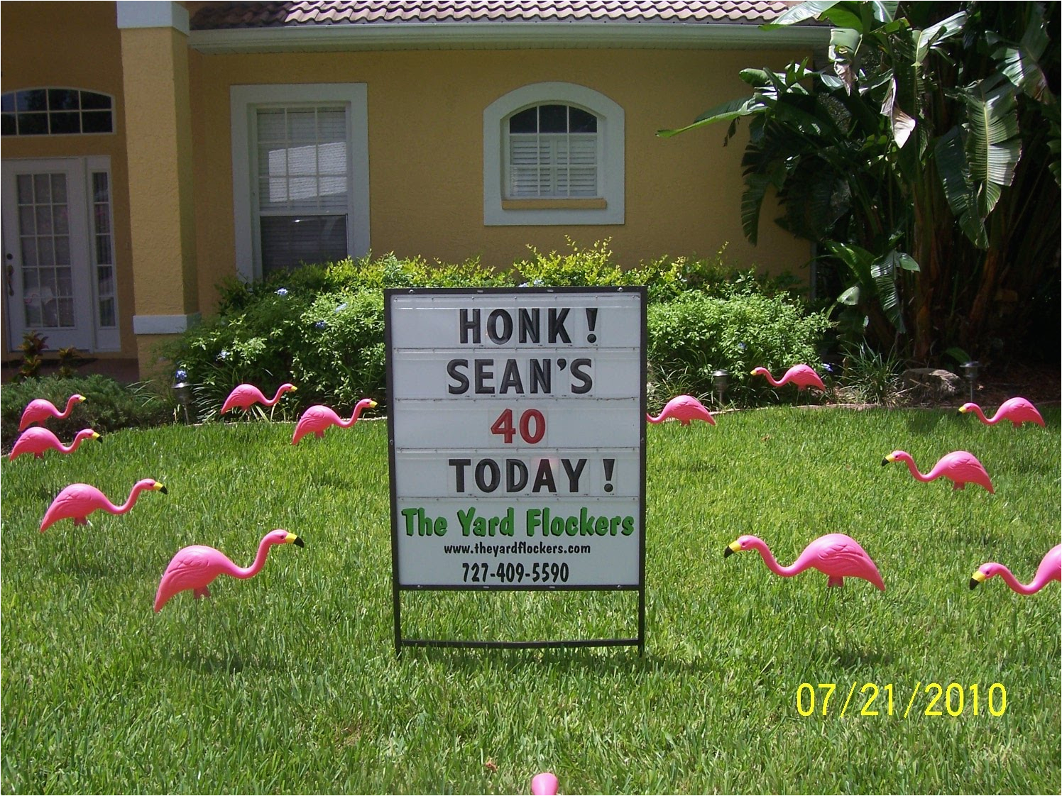 flock yard with pink flamingos for 40th