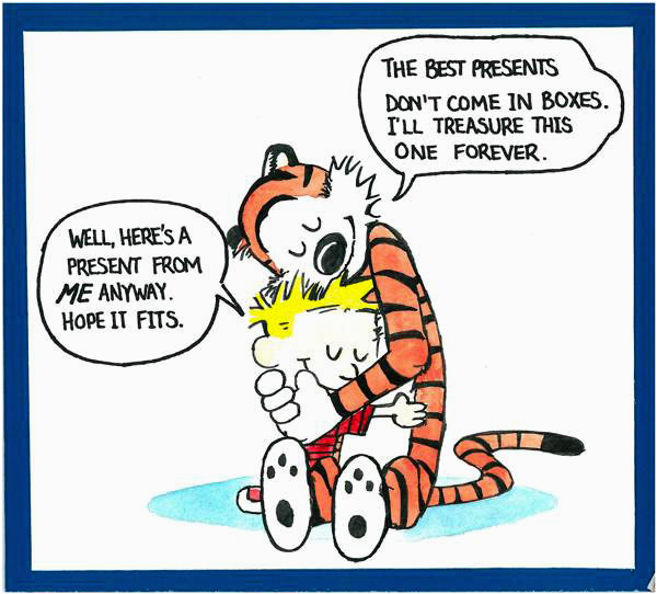 calvin and hobbes birthday quotes