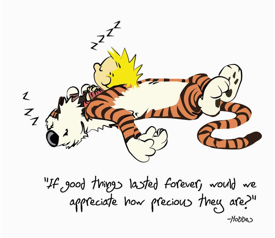 calvin and hobbes birthday quotes