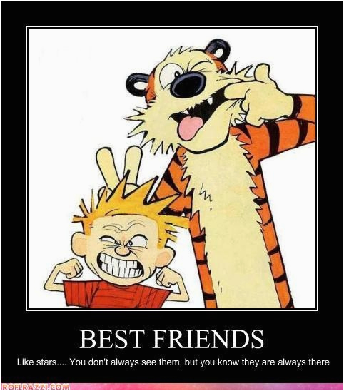 calvin and hobbes birthday quotes