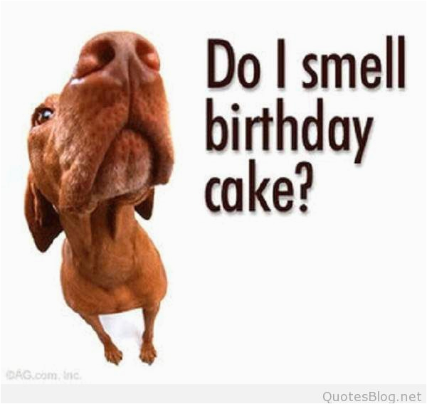 funny birthday sayings