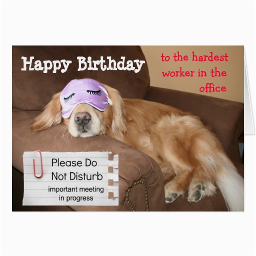 funny co worker birthday quotes