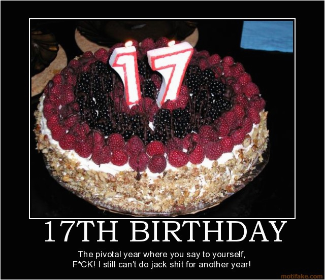 17th birthday quotes funny
