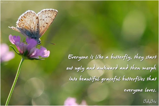 butterfly quotes for birthday