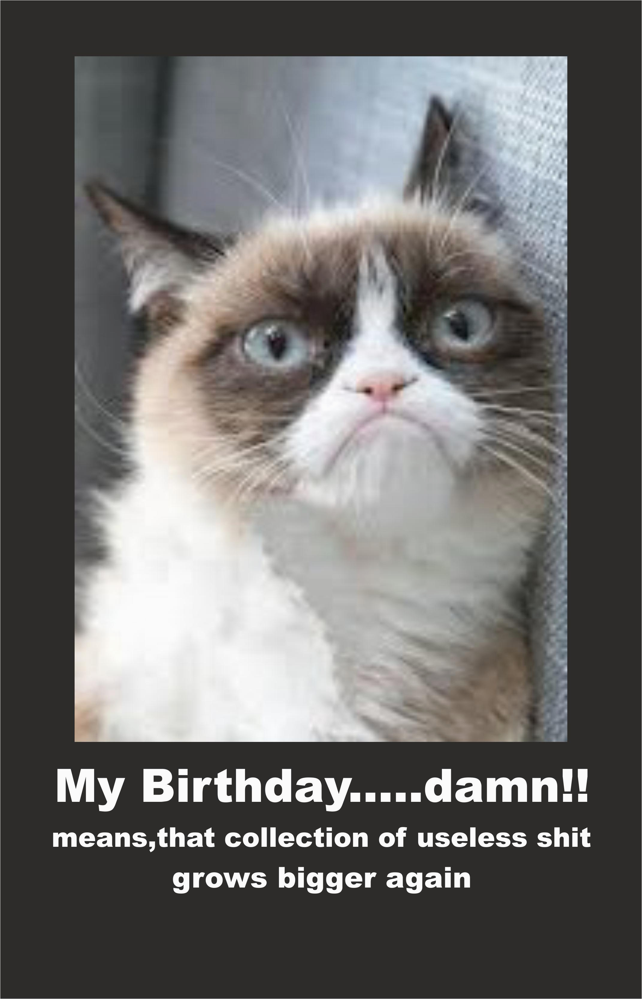 Happy Birthday Cat Quotes Image 614122 Grumpy Cat Know Your Meme