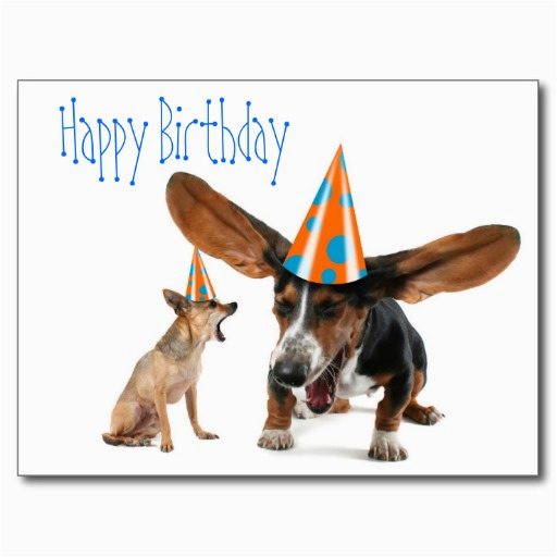 6 happy birthday quotes for dogs