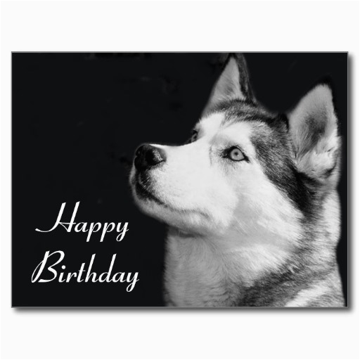 6 happy birthday quotes for dogs