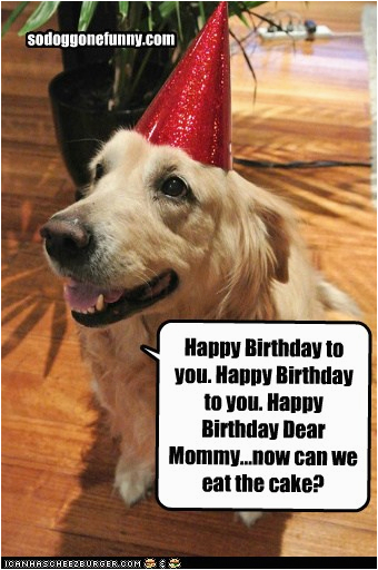 dog funny birthday quotes