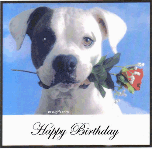 happy birthday quotes for dogs