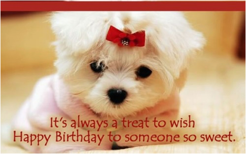 happy birthday quotes for dogs