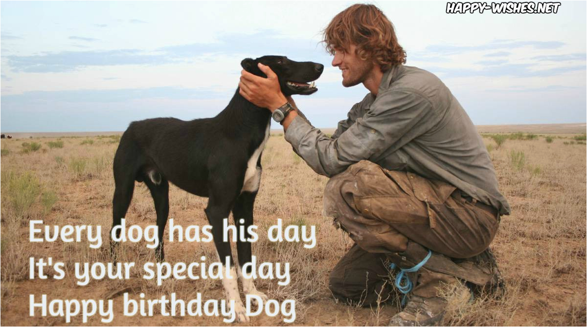 happy birthday wishes for dog