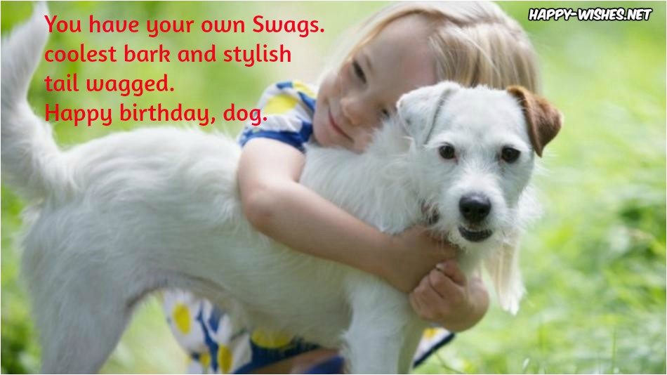 happy birthday wishes for dog