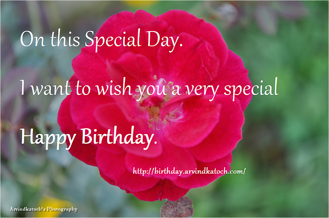 happy birthday to someone special quotes