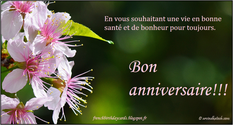 happy-birthday-quotes-in-french-birthdaybuzz