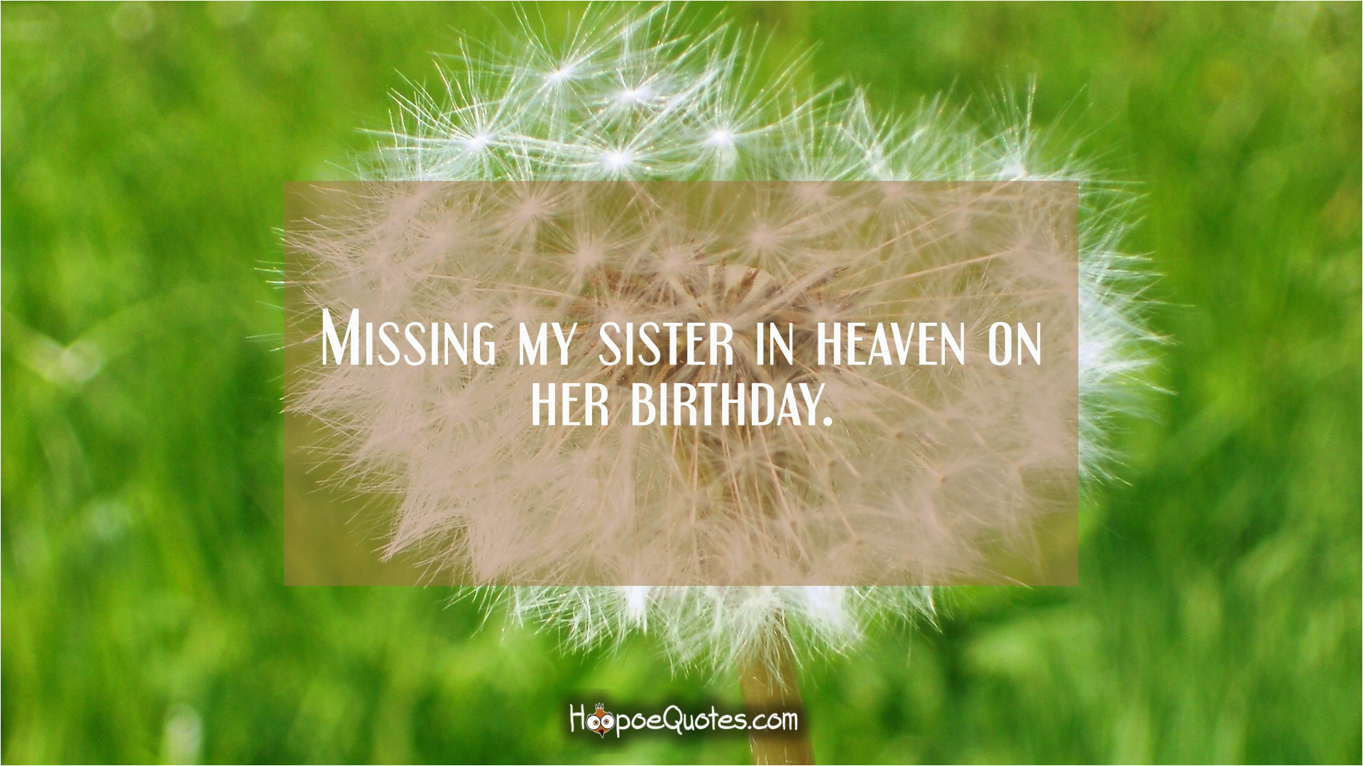 Happy Birthday Sister In Heaven Quotes Missing My Sister In Heaven On 