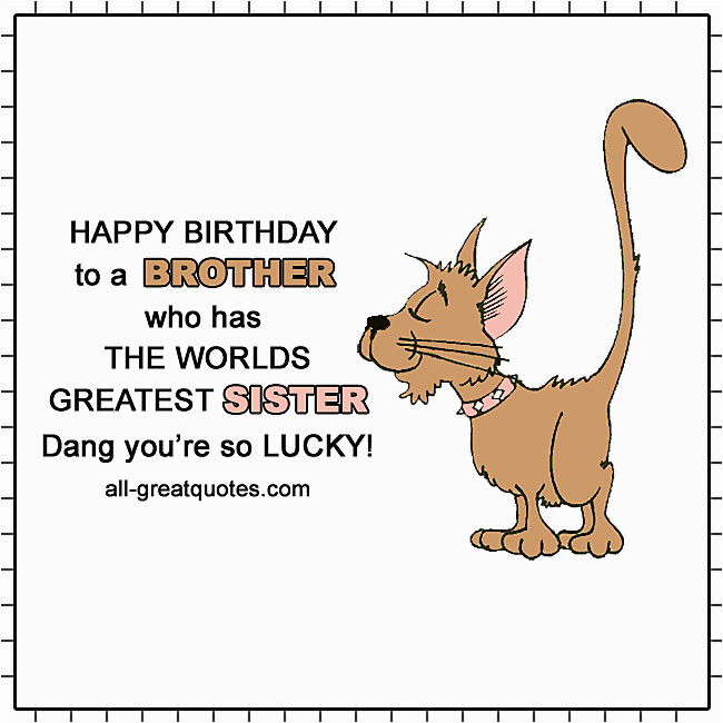 happy birthday to a brother who has the worlds greatest sister smug cat card