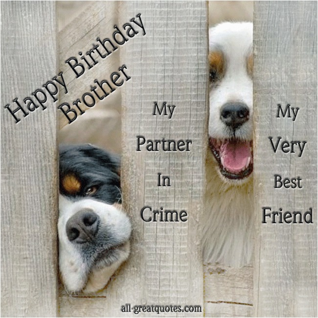 my partner in crime birthday quotes
