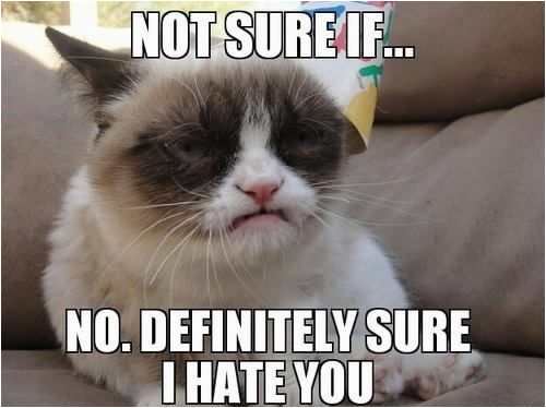 grumpy cat