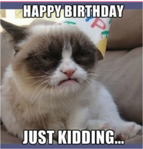 grumpy cat birthday