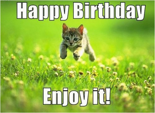 best 26 cat birthday meme