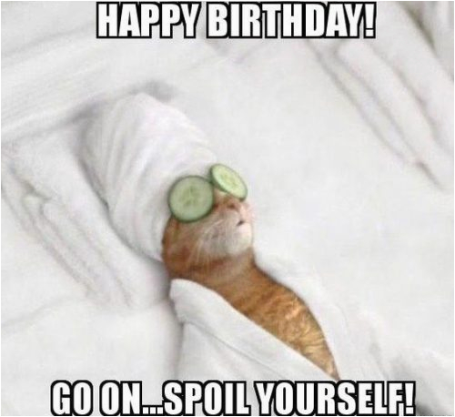 best 26 cat birthday meme