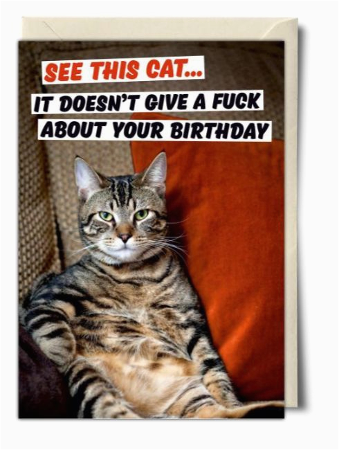 best 26 cat birthday meme