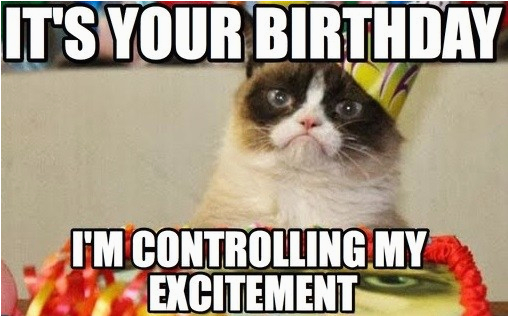 best happy birthday cat meme