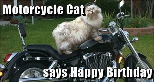 motorcycle happy birthday quotes