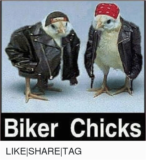 biker chicks s new