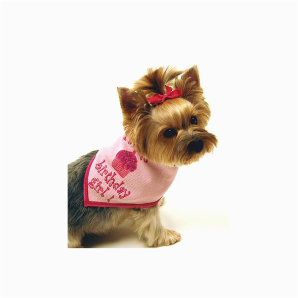 birthday girl dog bandana