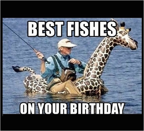 Birthday Meme Fishing Giraffe Birthday Memes Wishesgreeting