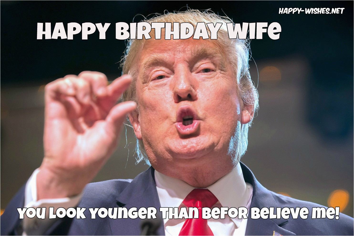 Birthday Meme for Wife Happy Birthday Wishes for Wife Quotes Images and Wishes