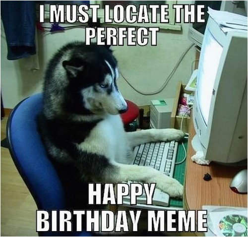 happy birthday memes dog