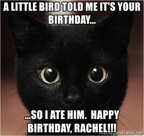 Black Cat Birthday Meme A Little Bird told Me It 39 S Your Birthday so ...