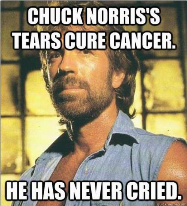 43 chuck norris memes