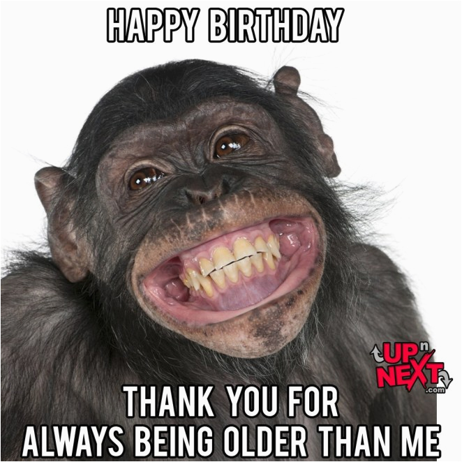 happy birthday meme funny