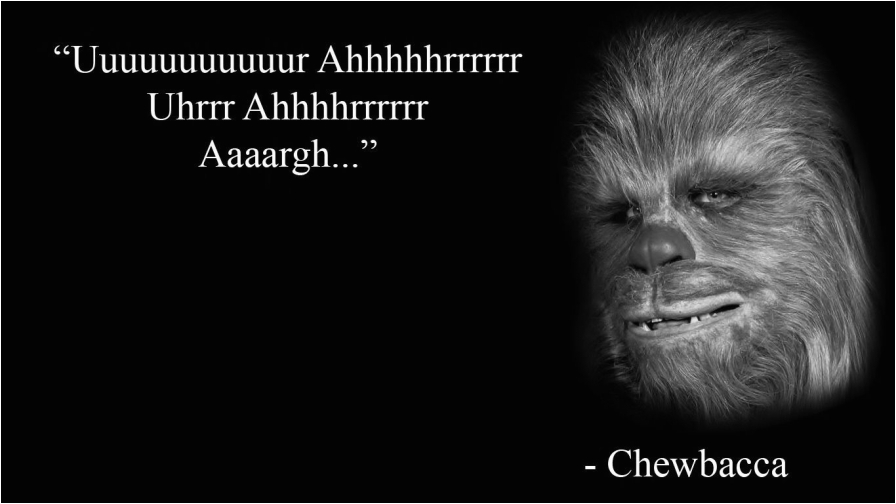 chewbacca meme hd wallpaper no 1