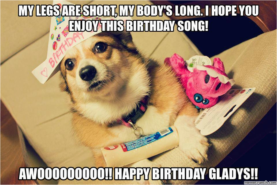 birthday corgi