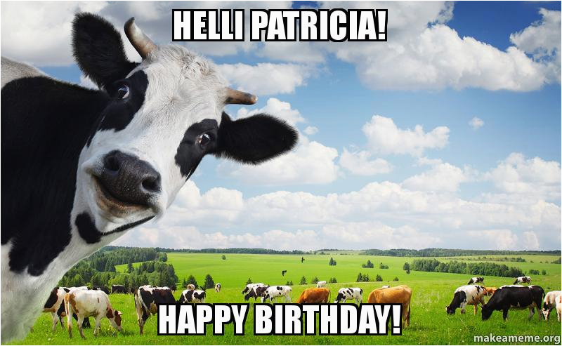 Cow Birthday Meme Helli Patricia Happy Birthday Make A Meme